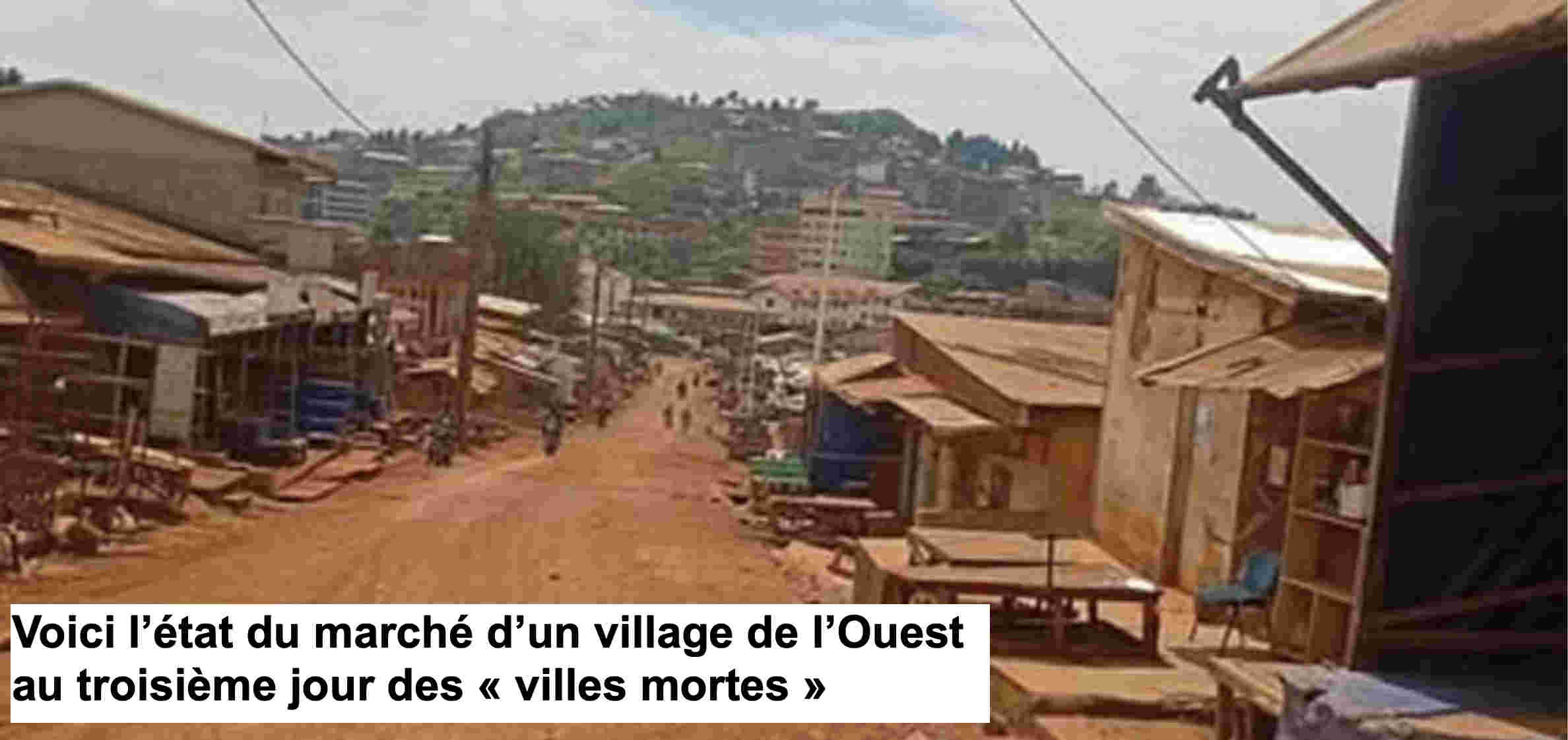 Cameroun : un pays coupé en deux par la fronde des « villes mortes »